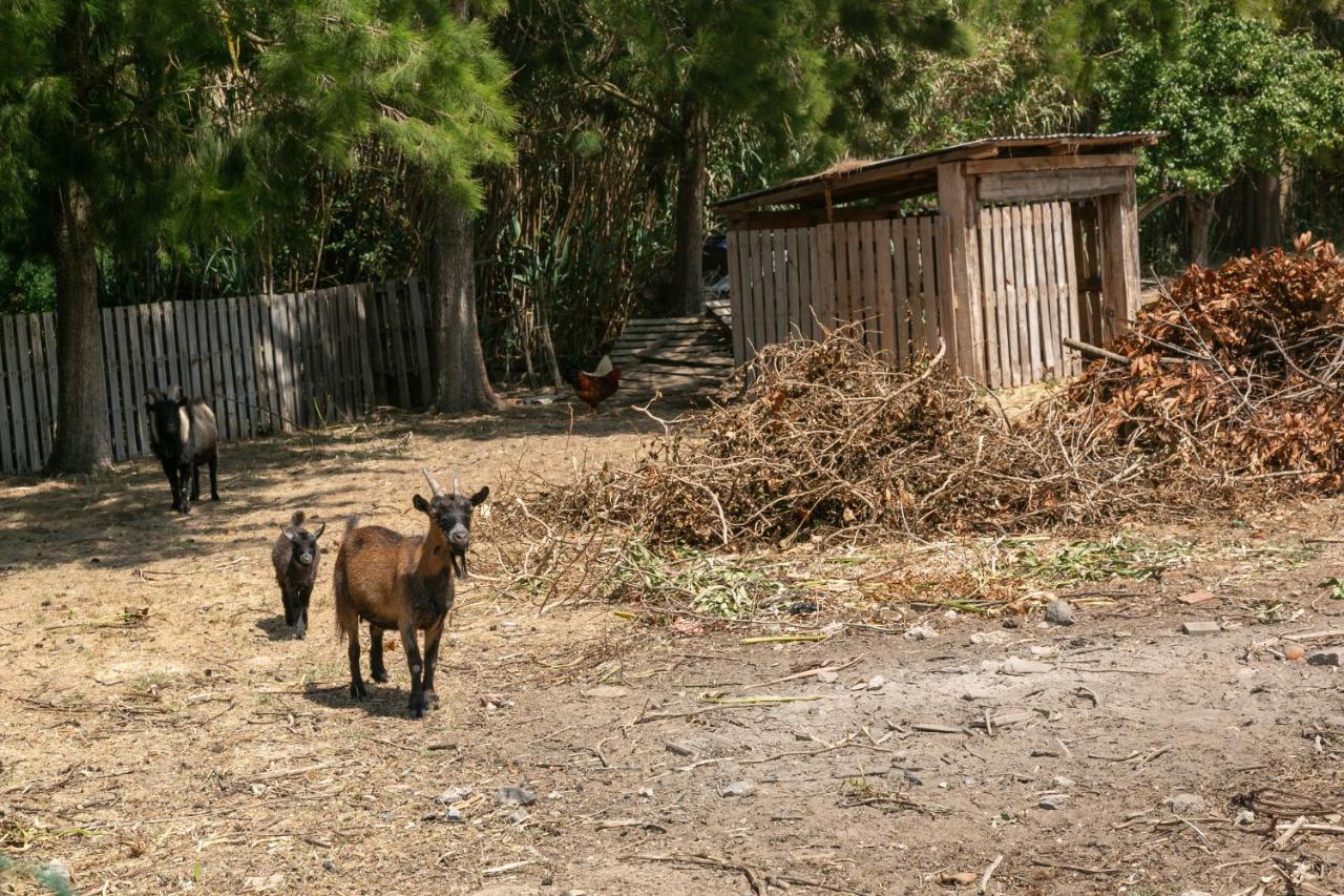 Villa Arneiro 1 Maçeira Εξωτερικό φωτογραφία